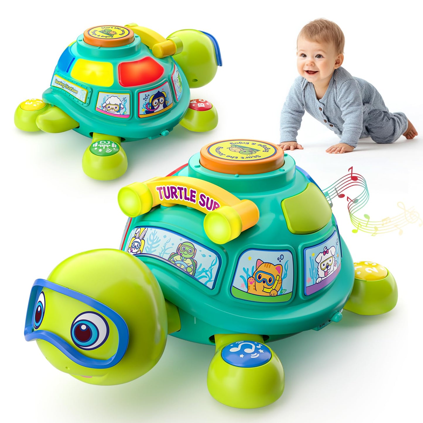 Zardali Musical Turtle Toy for 6-12 Months – Tummy Time, Crawling, Bilingual