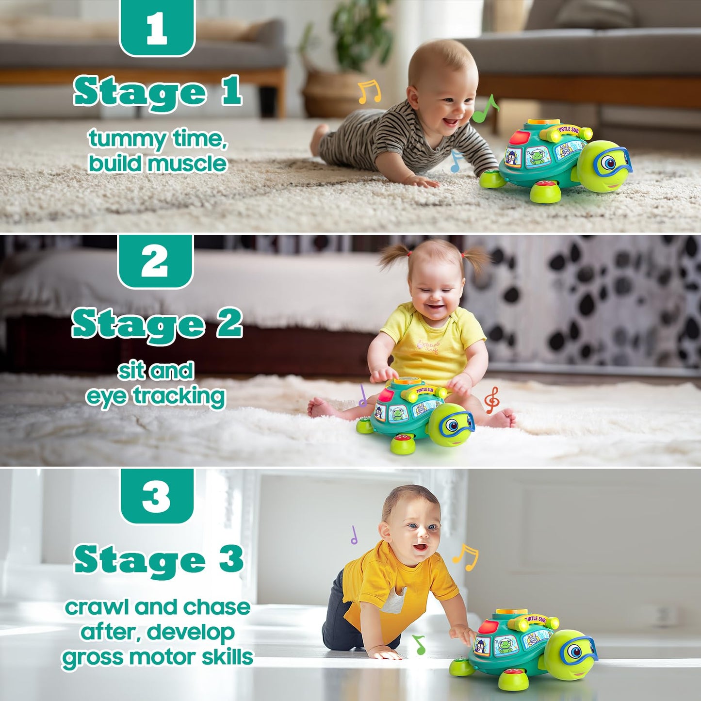 Zardali Musical Turtle Toy for 6-12 Months – Tummy Time, Crawling, Bilingual
