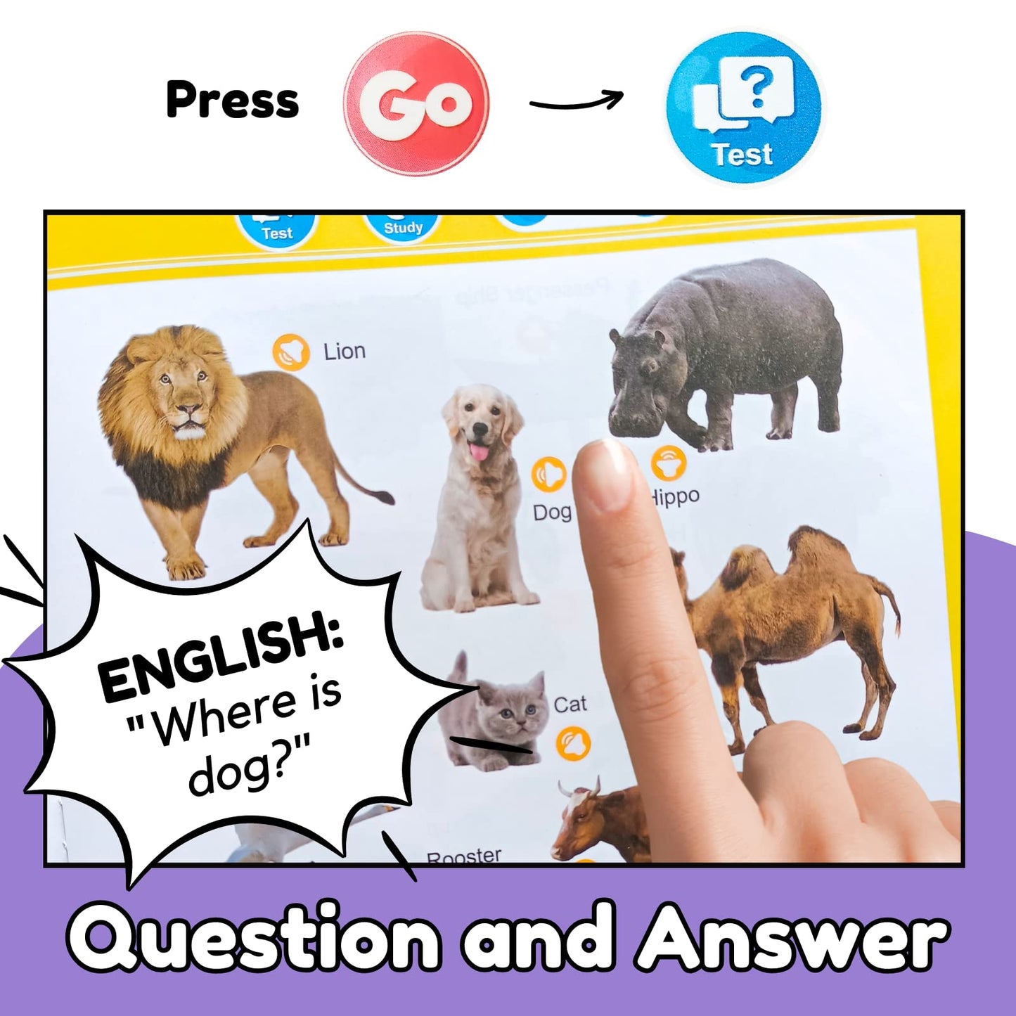 ZeenKind English Words Sound Book for Kids | 300+ Words Talking Interactive Learning Toy
