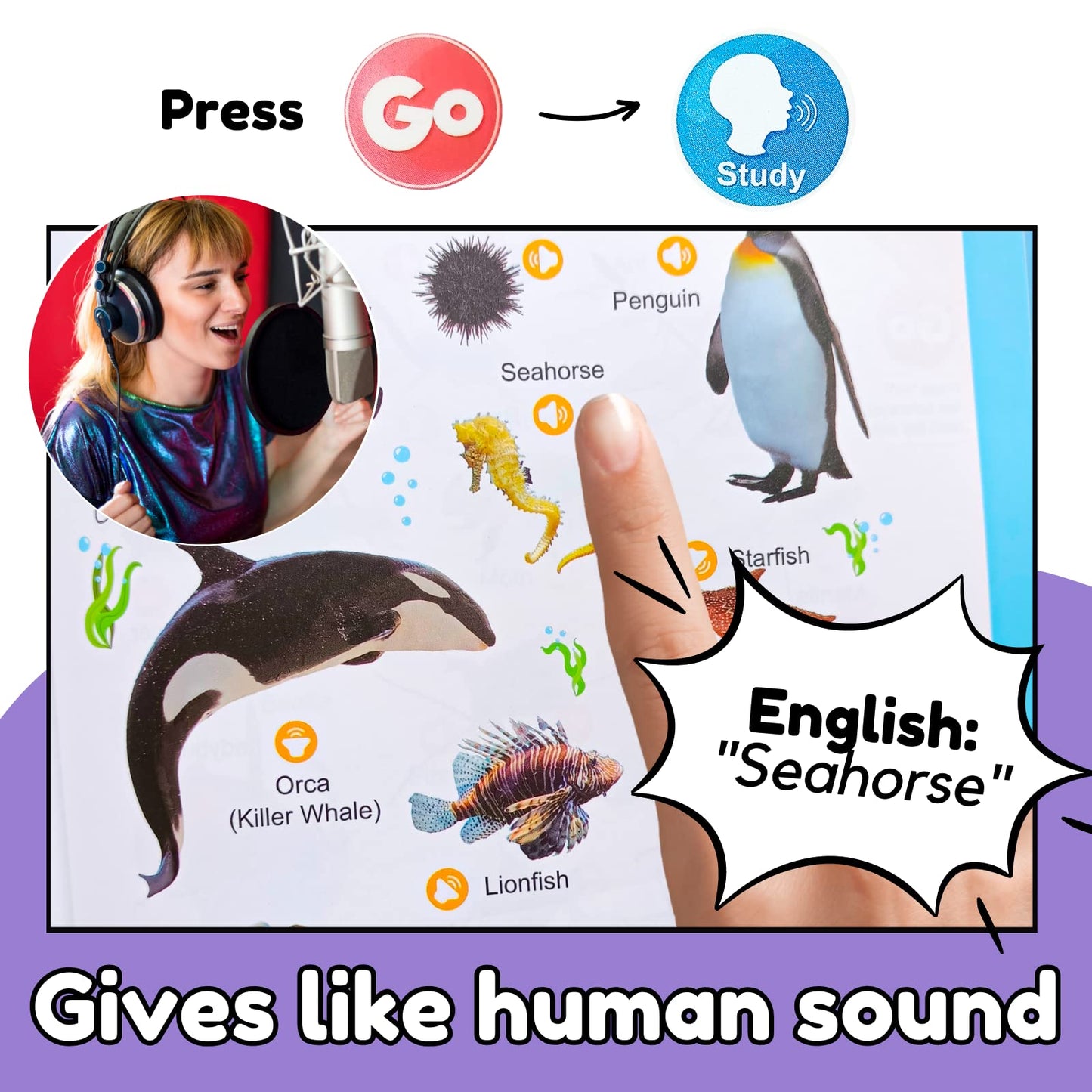 ZeenKind English Words Sound Book for Kids | 300+ Words Talking Interactive Learning Toy