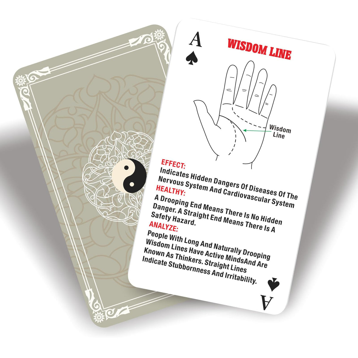 ZHQGYN All-Embracing Palmistry Oracle Cards for Beginners – Fortune-Telling Deck & Playing Cards