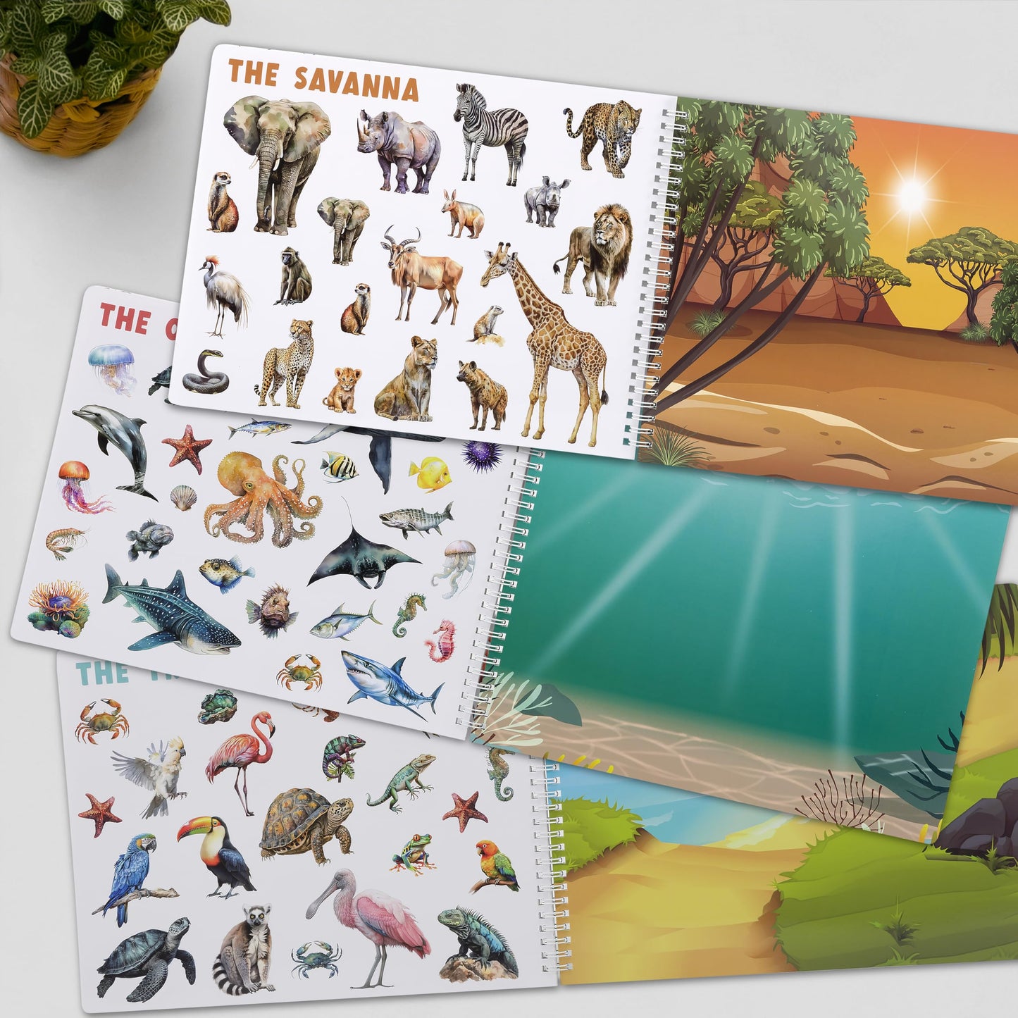 ZICOTO Fun Sticker Book for Toddlers (2-4) | 12 Habitats & 250+ Stickers