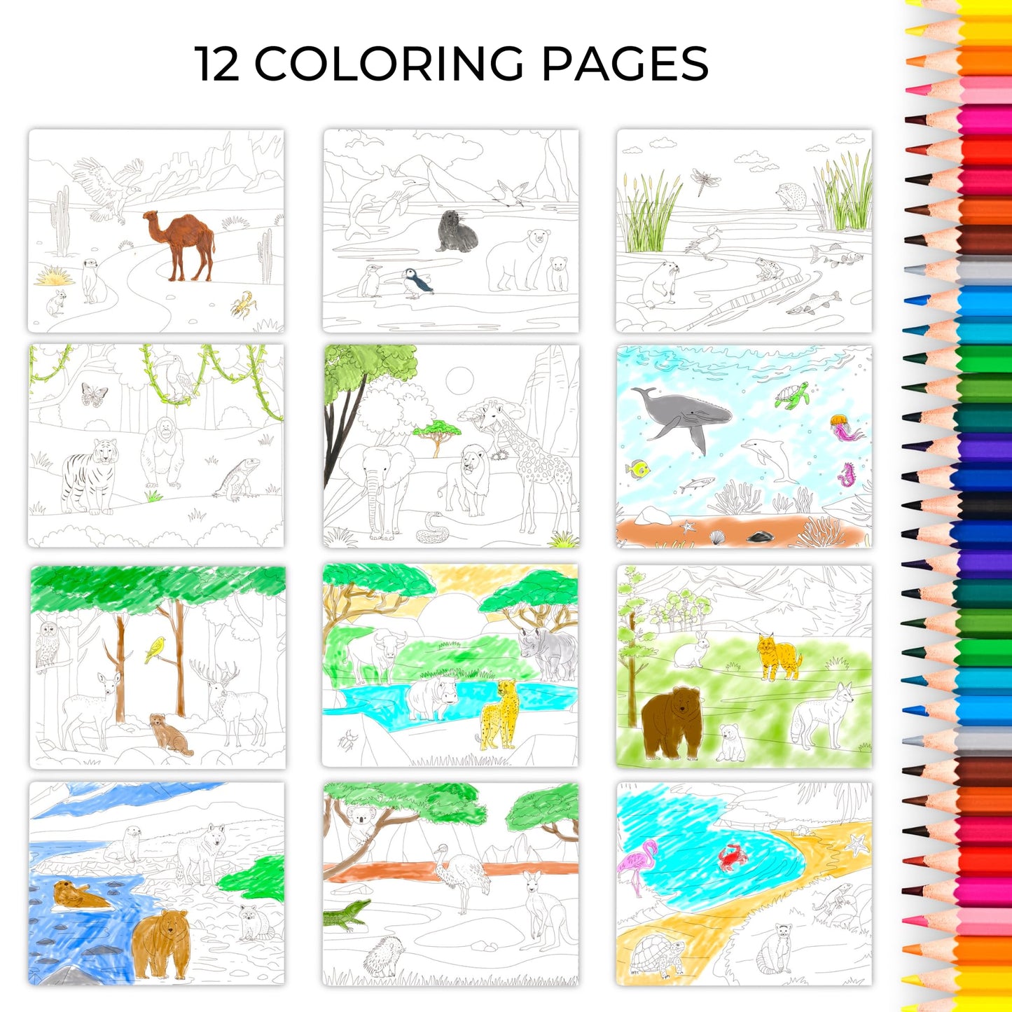 ZICOTO Fun Sticker Book for Toddlers (2-4) | 12 Habitats & 250+ Stickers