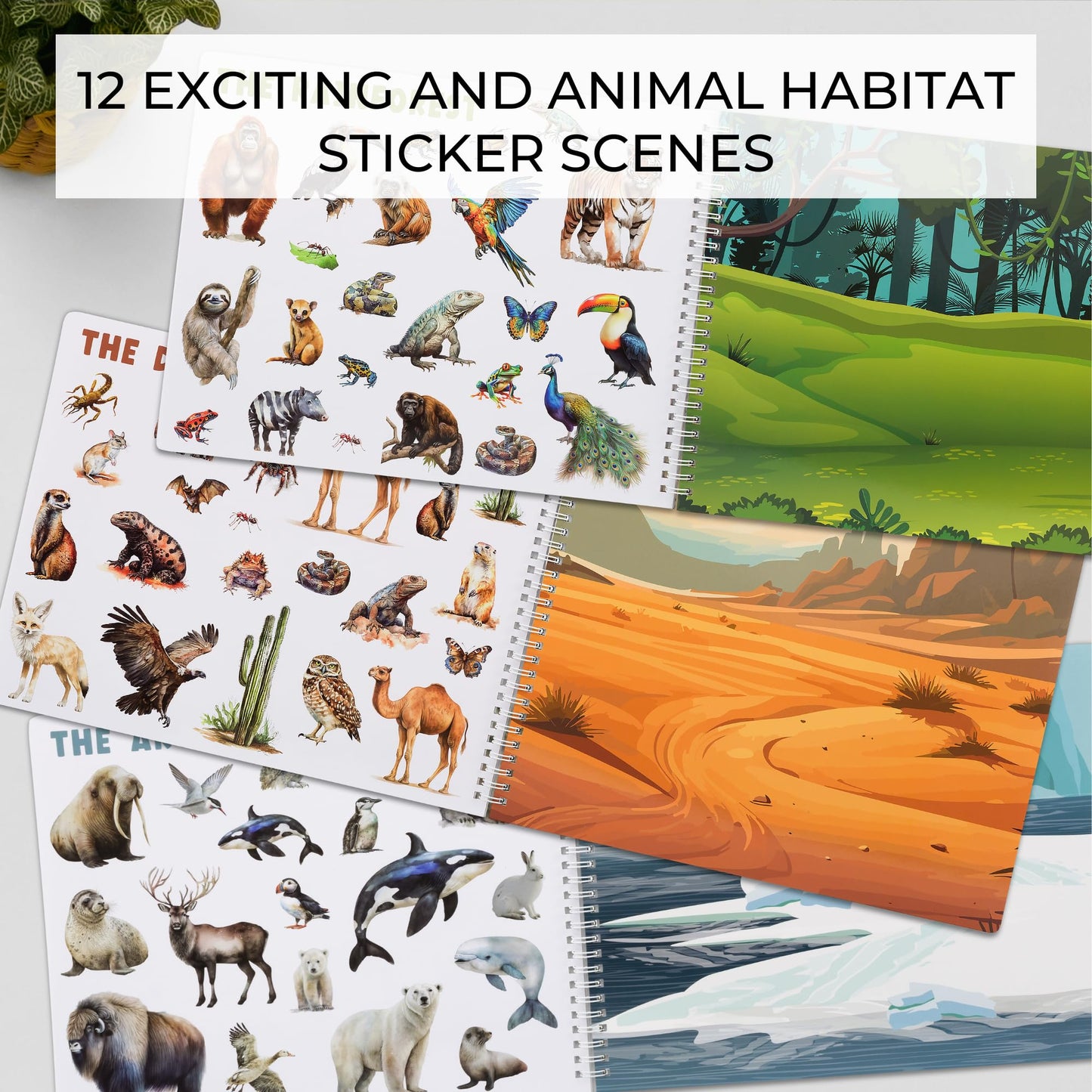 ZICOTO Fun Sticker Book for Toddlers (2-4) | 12 Habitats & 250+ Stickers