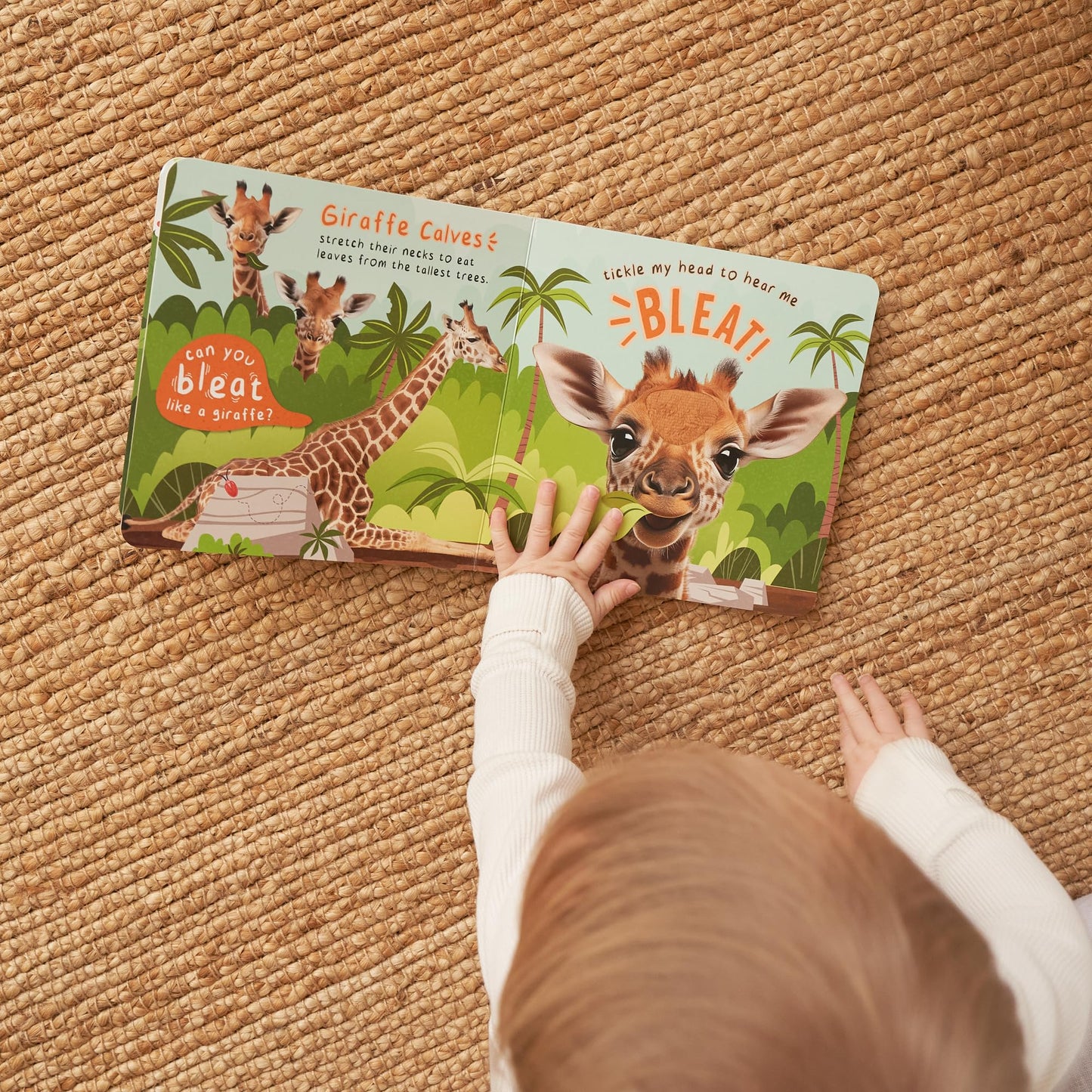 ZICOTO Fun Touch & Feel Sound Book for Babies and Toddlers — Farm Animal Sounds (12-18 Months)