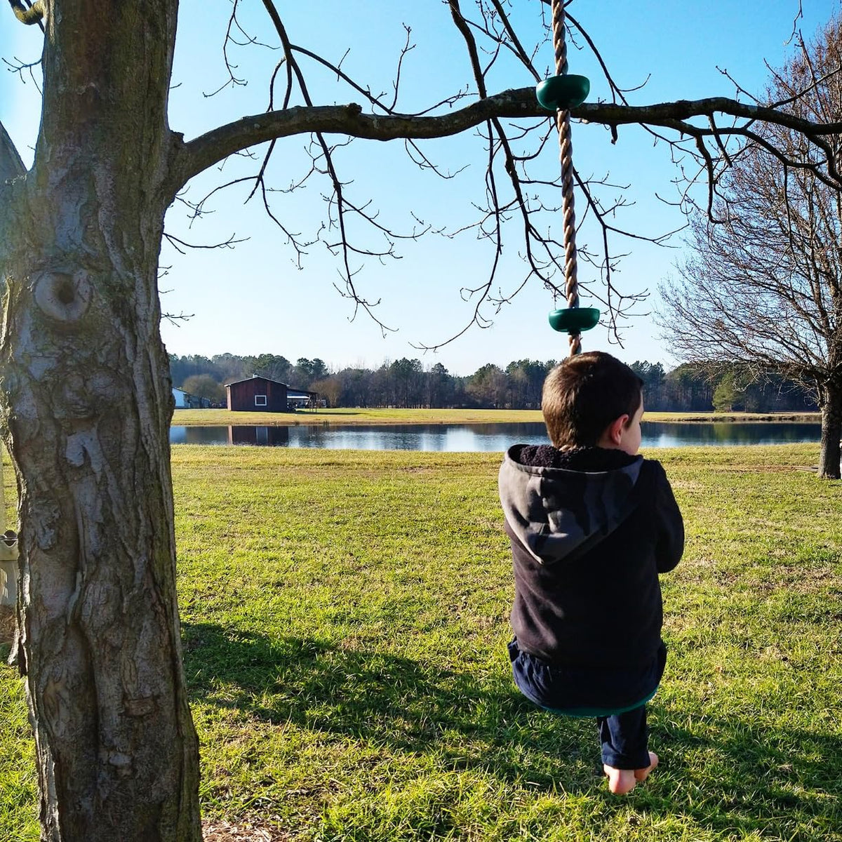 ZNCMRR Climbing Rope with Platforms & Disc Swing Seat — Kids Tree Swing Set
