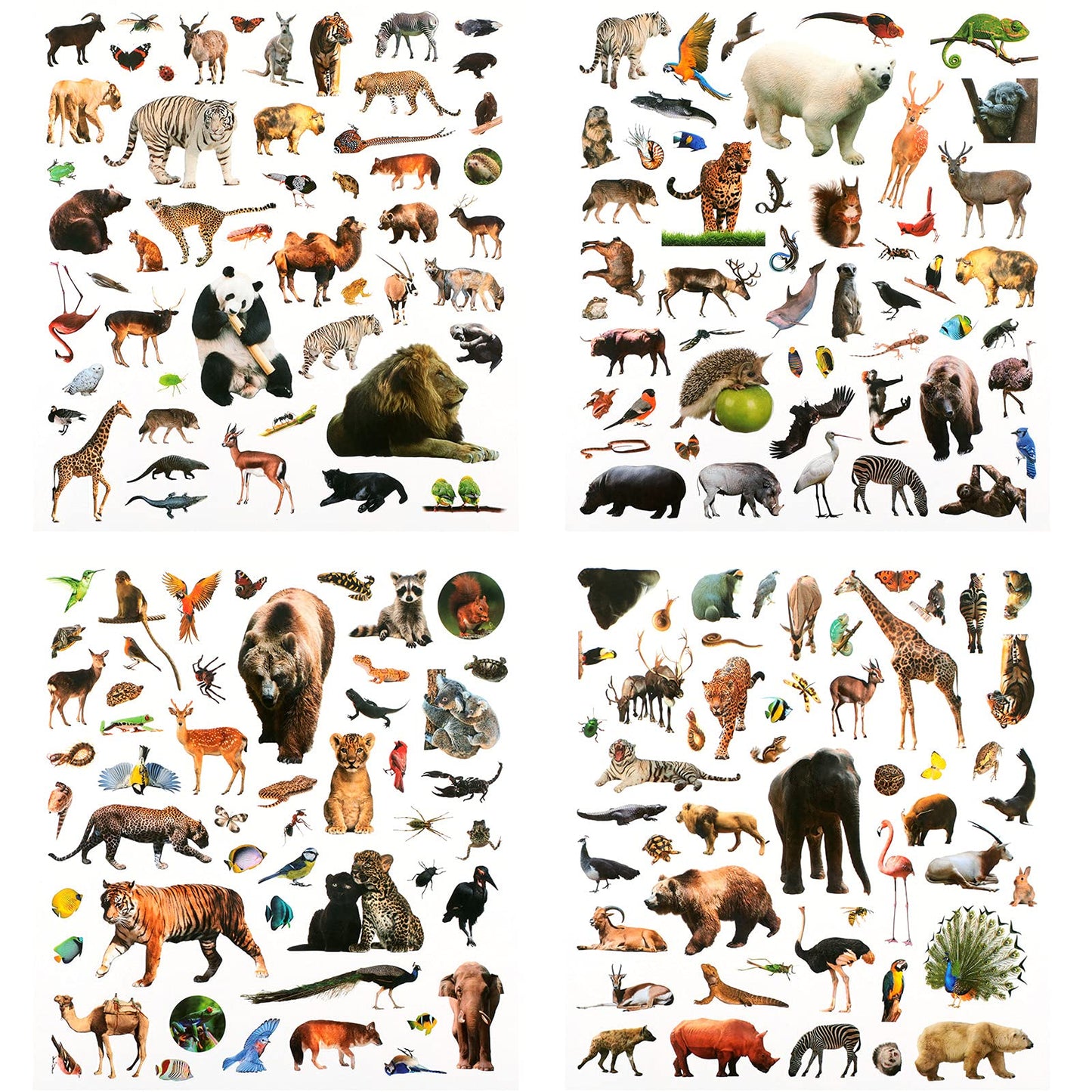 Zonon 800 Pcs Wild Jungle Animal Stickers – Realistic Safari Decals
