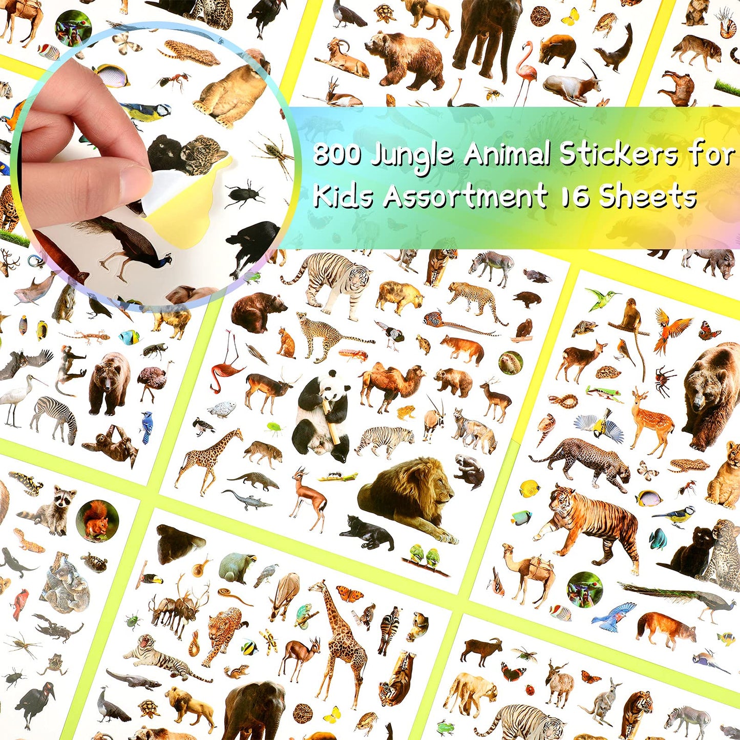 Zonon 800 Pcs Wild Jungle Animal Stickers – Realistic Safari Decals