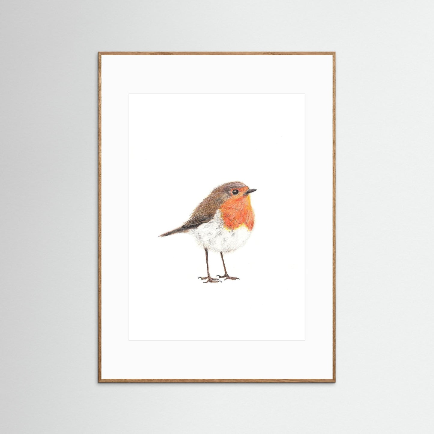 Robin Woodland Art Print