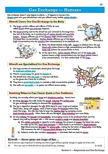 New Edexcel International GCSE Biology Revision Guide: Including Online Edition, Videos and Quizzes: for the 2024 and 2025 exams (CGP IGCSE Biology)