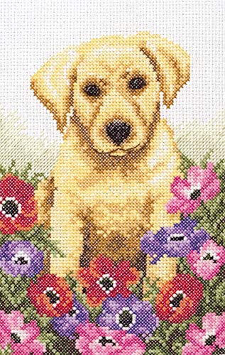 Anchor Cross Stitch Kit: Puppy, Multi, 16 x 23cm