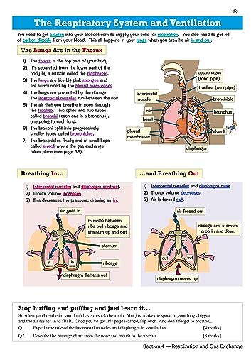 New Edexcel International GCSE Biology Revision Guide: Including Online Edition, Videos and Quizzes: for the 2024 and 2025 exams (CGP IGCSE Biology)