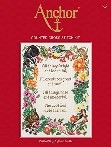 Anchor Cross Stitch Kit: Hanging Around, Multi, 16.5 x 19.5cm