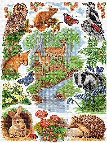 Anchor Counted Cross Stitch Kit: Essentials: Woodland Sampler, Multi-Colour, 40 x 30cm