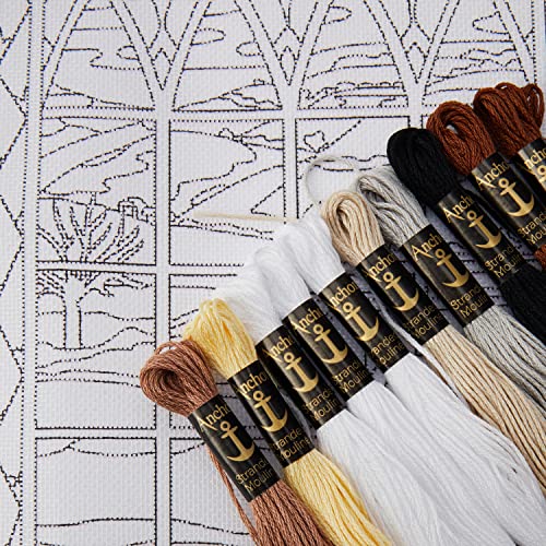 Anchor Kits and Canvas Essential Kits Long Stitch