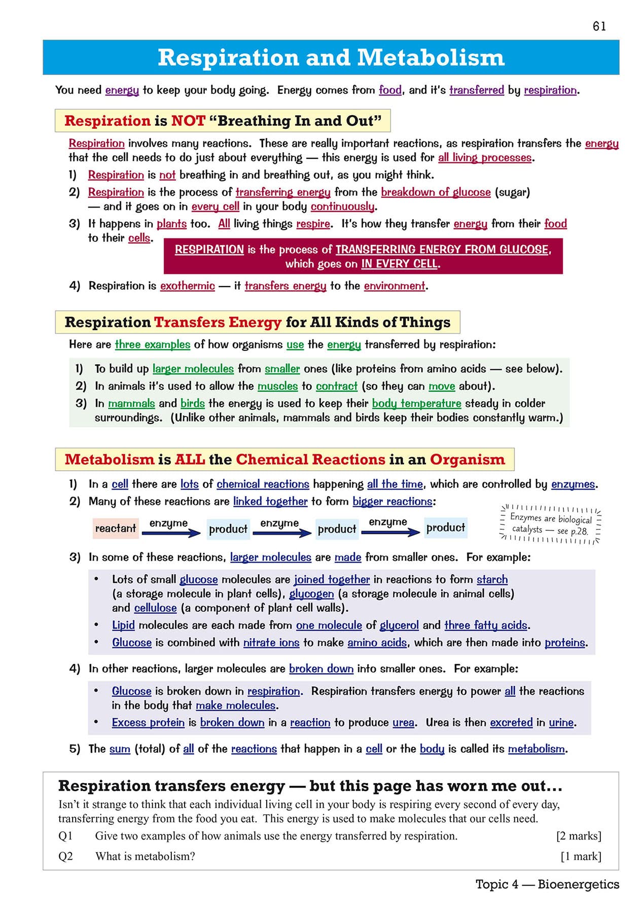 GCSE Biology AQA Revision Guide - Higher includes Online Edition, Videos & Quizzes: for the 2024 and 2025 exams (CGP AQA GCSE Biology)