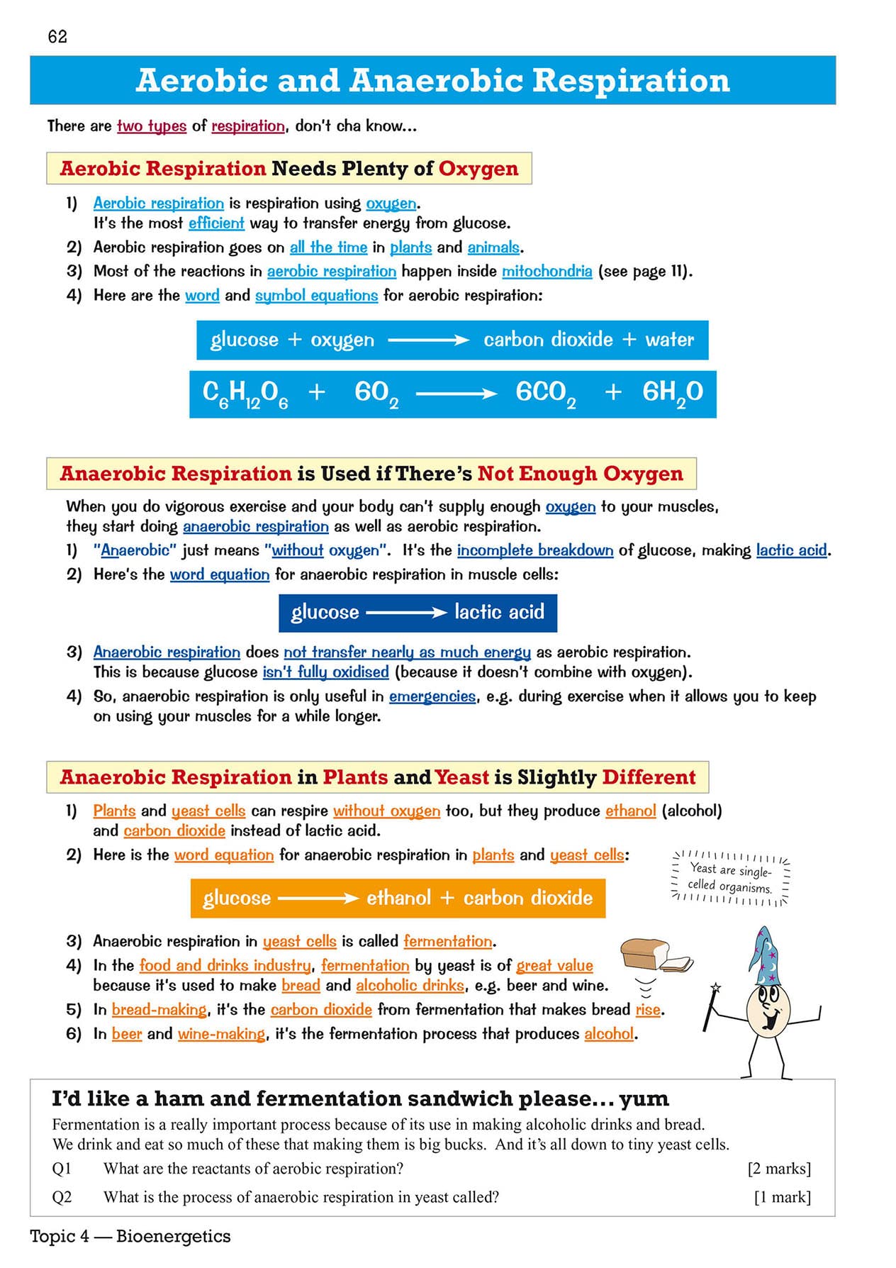 GCSE Biology AQA Revision Guide - Higher includes Online Edition, Videos & Quizzes: for the 2024 and 2025 exams (CGP AQA GCSE Biology)