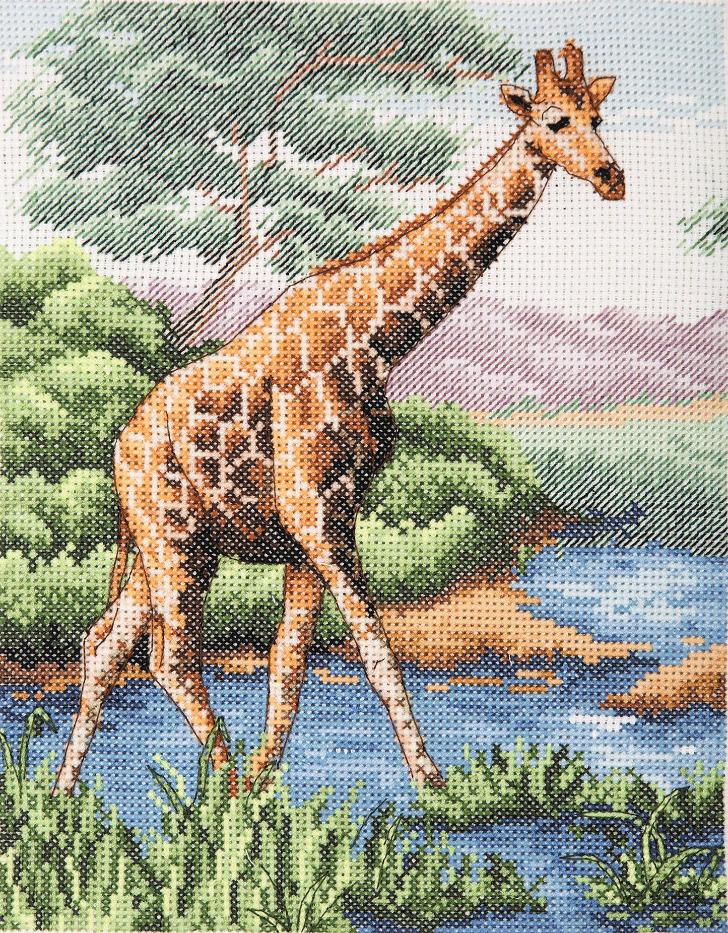 Anchor Counted Cross Stitch Kit: Essentials: Giraffe, Multi, 23 x 18cm